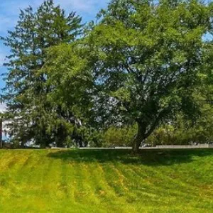 Homes For Sale Wilmington NC Acreage