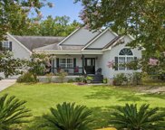 1312 Brick Chimney Rd., Georgetown image