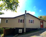 1309 Bears Lope Ln, Great Cacapon image