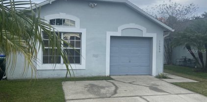 11666 Purple Lilac Circle, Orlando