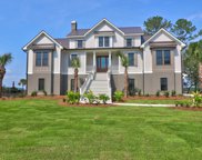 3925 Ashton Shore Lane, Mount Pleasant image