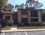146 Woodlake Wynde Unit 146, Oldsmar image