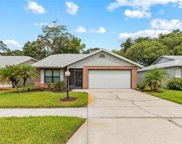 11605 Cocowood Drive, New Port Richey image