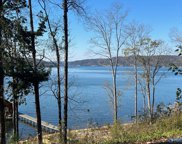 13 Reserve Drive, Guntersville image