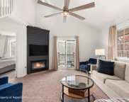 4202 Elk Lane, Basalt image