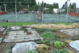 solstice park