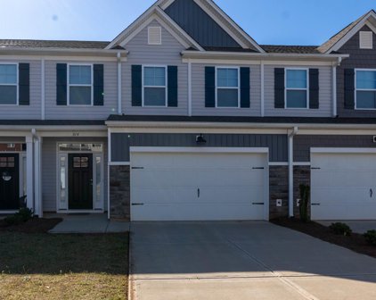314 Trail Branch Court, Greer