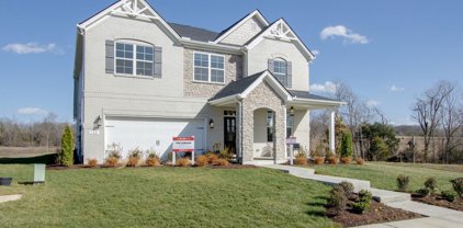 816 Cawthorn Lane, Mount Juliet
