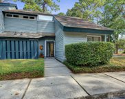 1102 Hidden Cove Drive, Mount Pleasant image