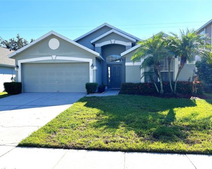 5339 Los Palma Vista Drive, Orlando