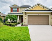9157 Bella Vita Circle, Land O' Lakes image
