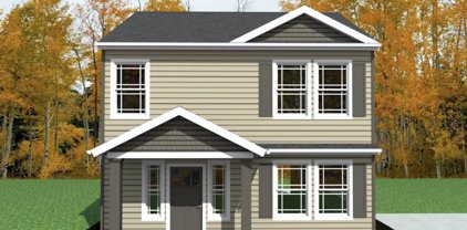 171 Anderson Avenue, Pacolet