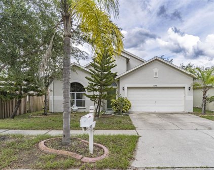1348 Dragon Head Drive, Valrico