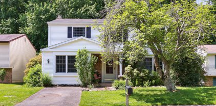 8415 Rainbow Bridge Ln, Springfield