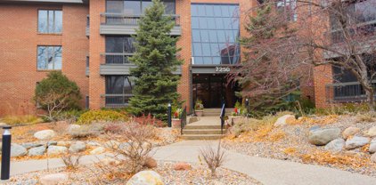 7250 Lewis Ridge Parkway Unit #117, Edina