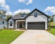 146 Collins Cove Drive, Chapin image