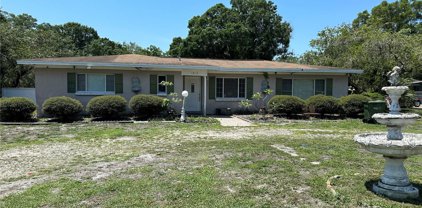 1810 W Erna Drive, Tampa