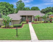 10109 Bell Creek Drive, Riverview image