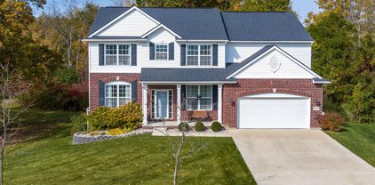 58206 SUNFLOWER, Lyon Twp