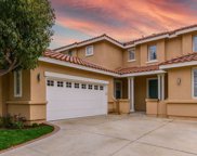 17 Medlar, Irvine image