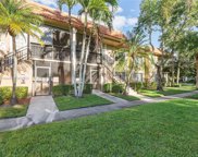 427 Lakeview Dr Unit #204, Weston image