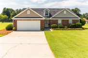 204 Chestatee Trace, Mcdonough image