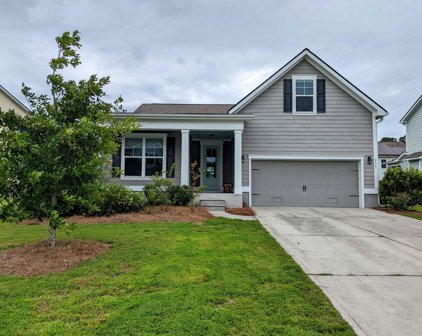 235 Swallowtail Court, Mount Pleasant