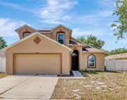 3406 Pine Top Drive, Valrico image