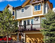 155 Juniper Trail, Basalt image