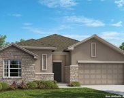 466 Foxtail Valley, Cibolo image