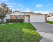 13221 Ragged Spur  Court, Fort Worth image