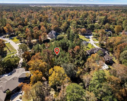 4227 Maple Rapids Lane, Spring