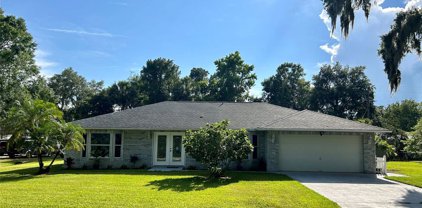 2430 Needle Palm Dr, Edgewater