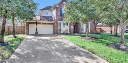 12703 Wandering Streams Drive, Tomball