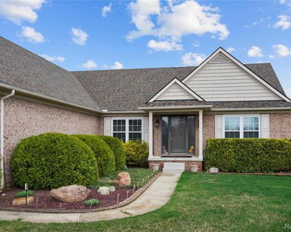 30036 N Magnolia, Lyon Twp