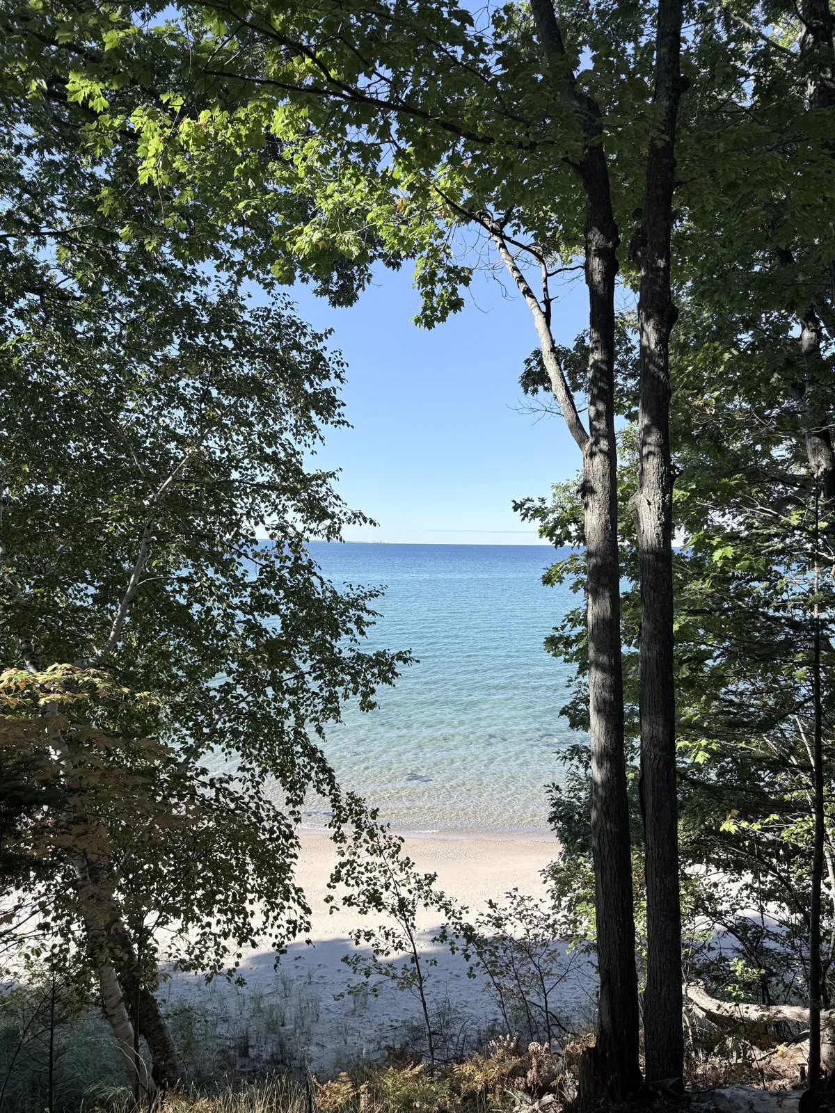 Lake Michigan through the trees at Thorne Swift Nature Preserve, Harbor Springs