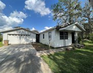 12143 Canal Street, Tavares image