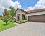 12049 Cardinal Flower Drive, Riverview image
