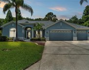 2701 Spring Meadow Drive, Plant City image