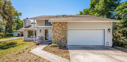 4609 Oak Cove Lane, Orlando