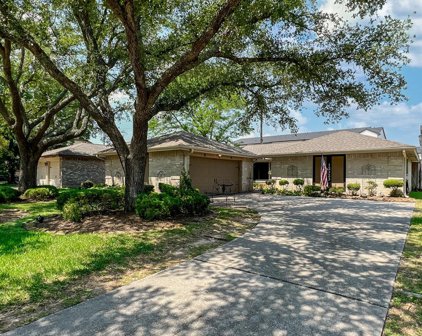 12323 Ravens Mate Drive, Cypress
