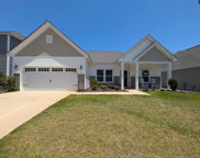 537 Mitscher Way, Chapin image