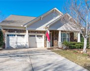 1235 Gold Rush  Court, Fort Mill image