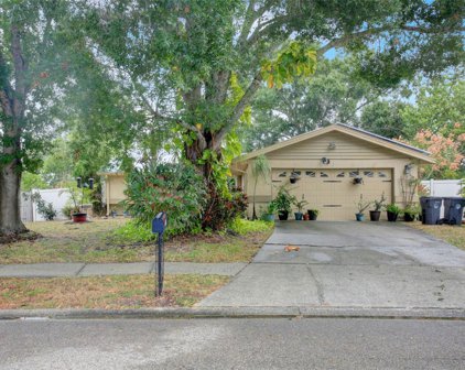 509 Timber Bay Circle E, Oldsmar