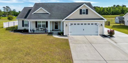 160 Vineyard Lake Circle, Conway