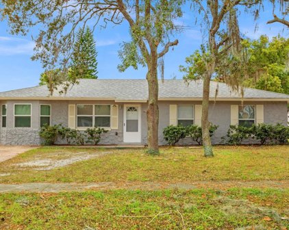 28 E Bob White Street, Apopka