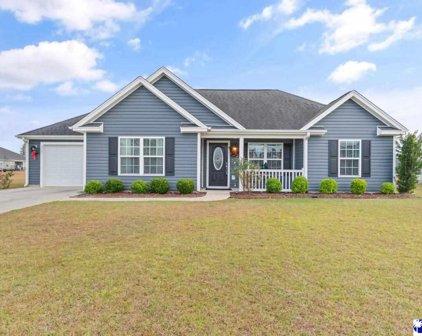 313 Millbrook Circle, Aynor