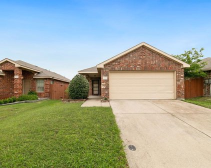 4034 Eagle  Drive, Forney