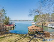 2121 Signal Point Road, Guntersville image
