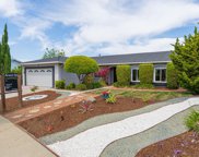 10564 Meteor PL, Cupertino image